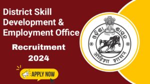 District Skill Development & Employment Office Recruitment 2024